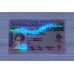British Columbia Fake ID (2025 Version)